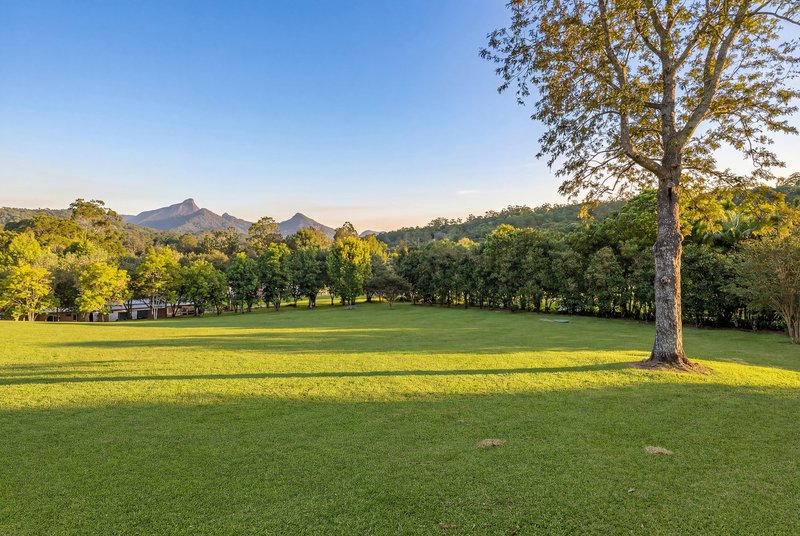 Photo - 350 Rowlands Creek Road, Rowlands Creek NSW 2484 - Image 7