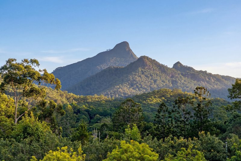 Photo - 350 Rowlands Creek Road, Rowlands Creek NSW 2484 - Image 17