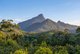 Photo - 350 Rowlands Creek Road, Rowlands Creek NSW 2484 - Image 17