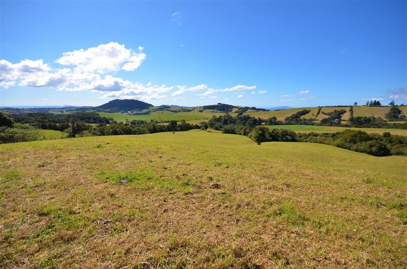 3500 Wingham Road, Comboyne NSW 2429