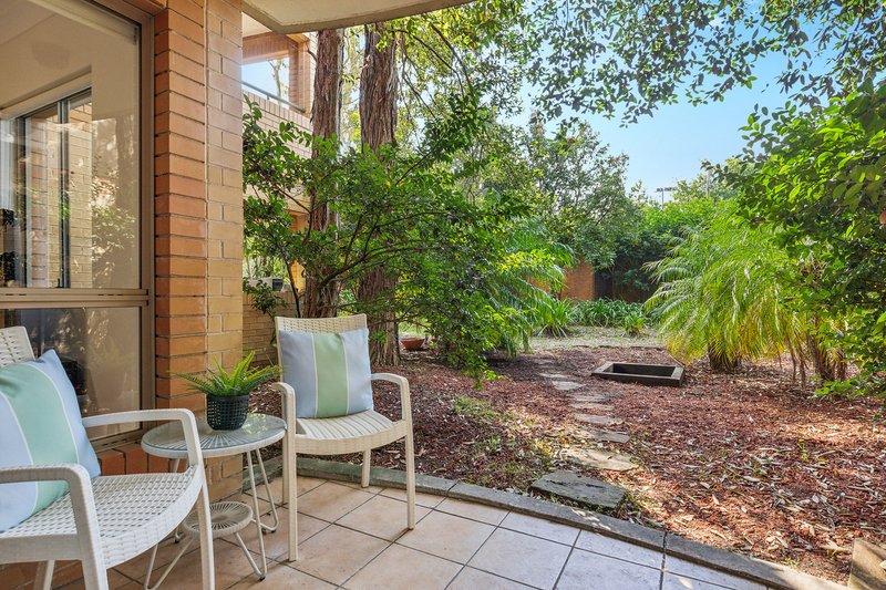 Photo - 3/506-512 Pacific Highway, Lane Cove NSW 2066 - Image 3