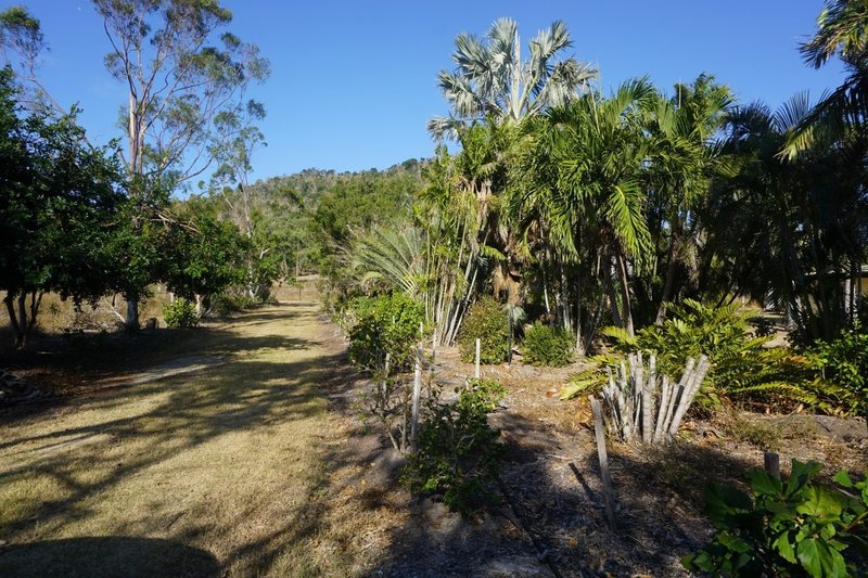 Photo - 351 Bootooloo Road, Bowen QLD 4805 - Image 12