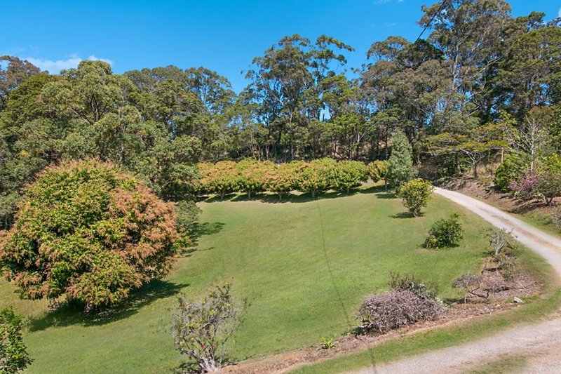 Photo - 351 Cudgen Road, Cudgen NSW 2487 - Image 8