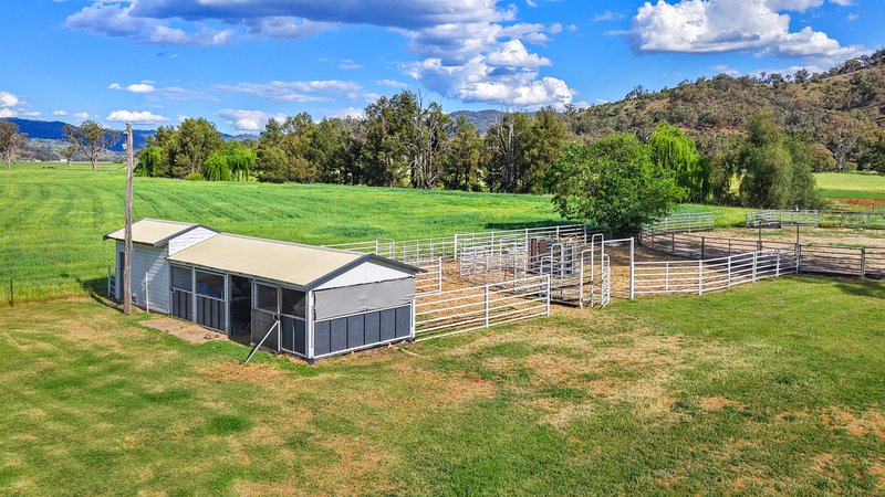 Photo - 352 Ogunbil Road, Dungowan NSW 2340 - Image 12