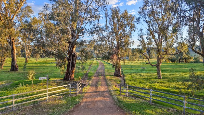 Photo - 352 Ogunbil Road, Dungowan NSW 2340 - Image 14