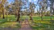 Photo - 352 Ogunbil Road, Dungowan NSW 2340 - Image 14