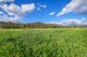 Photo - 352 Ogunbil Road, Dungowan NSW 2340 - Image 15