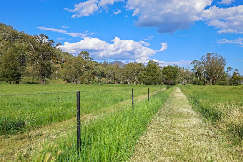 Photo - 352 Ogunbil Road, Dungowan NSW 2340 - Image 16