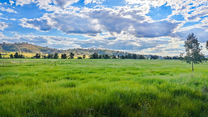 Photo - 352 Ogunbil Road, Dungowan NSW 2340 - Image 17
