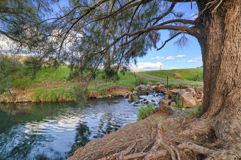 Photo - 352 Ogunbil Road, Dungowan NSW 2340 - Image 18