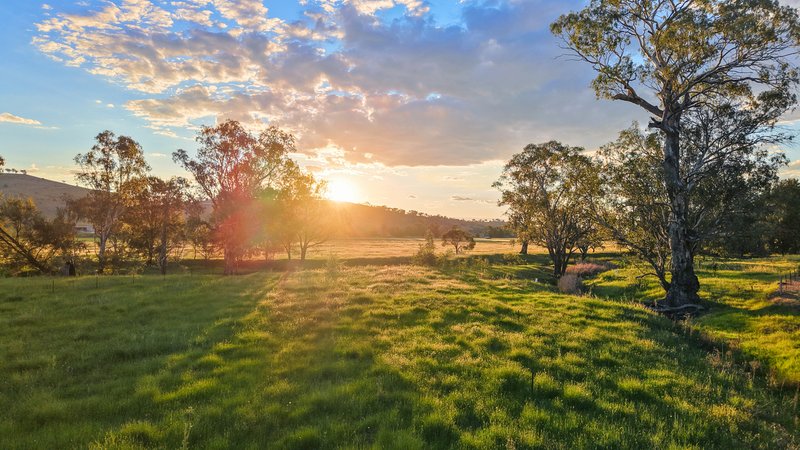 Photo - 352 Ogunbil Road, Dungowan NSW 2340 - Image 20