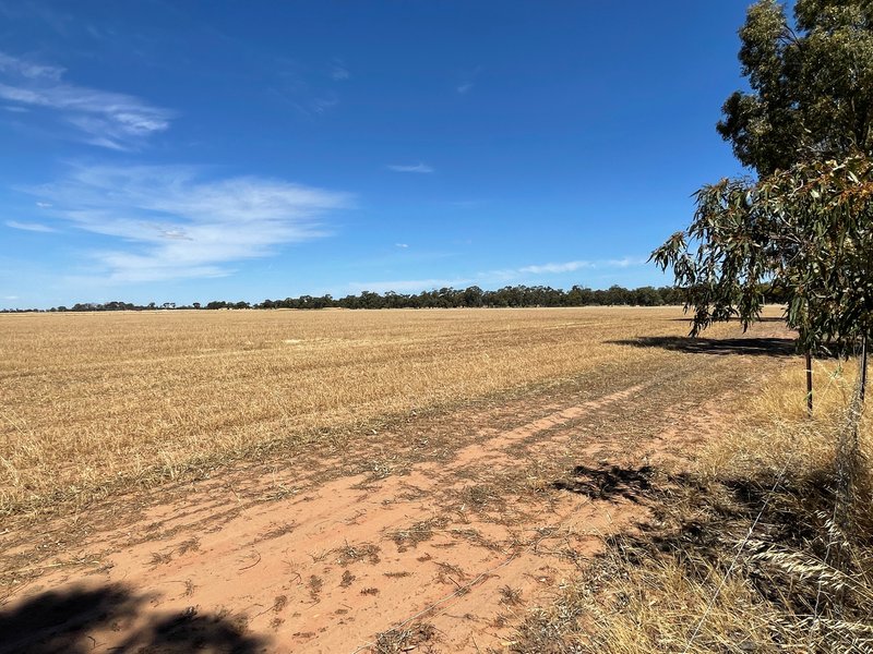 Photo - 352 Riverside East Road, Riverside VIC 3401 - Image 10