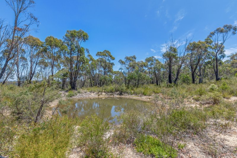 Photo - 352 State Mine Gully Road, Lithgow NSW 2790 - Image 25
