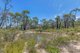 Photo - 352 State Mine Gully Road, Lithgow NSW 2790 - Image 25