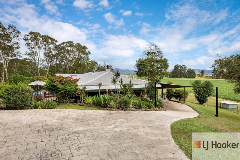 Photo - 353 Reserve Creek Road, Kielvale NSW 2484 - Image 20