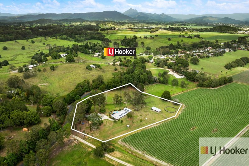 Photo - 353 Reserve Creek Road, Kielvale NSW 2484 - Image 23