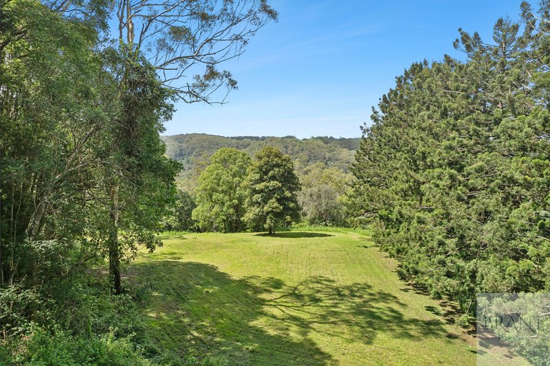 Photo - 353 Western Avenue, Montville QLD 4560 - Image 6