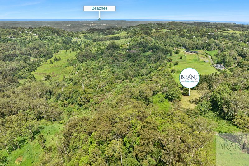 Photo - 353 Western Avenue, Montville QLD 4560 - Image 10