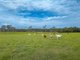 Photo - 354-392 Pialba Burrum Heads Road, Dundowran QLD 4655 - Image 28