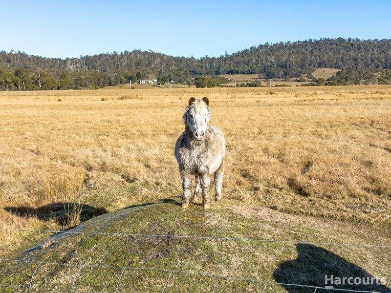 Photo - 354 Dalrymple Road, Mount Direction TAS 7252 - Image 32