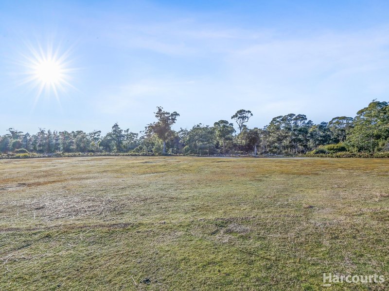 Photo - 354 Dalrymple Road, Mount Direction TAS 7252 - Image 34