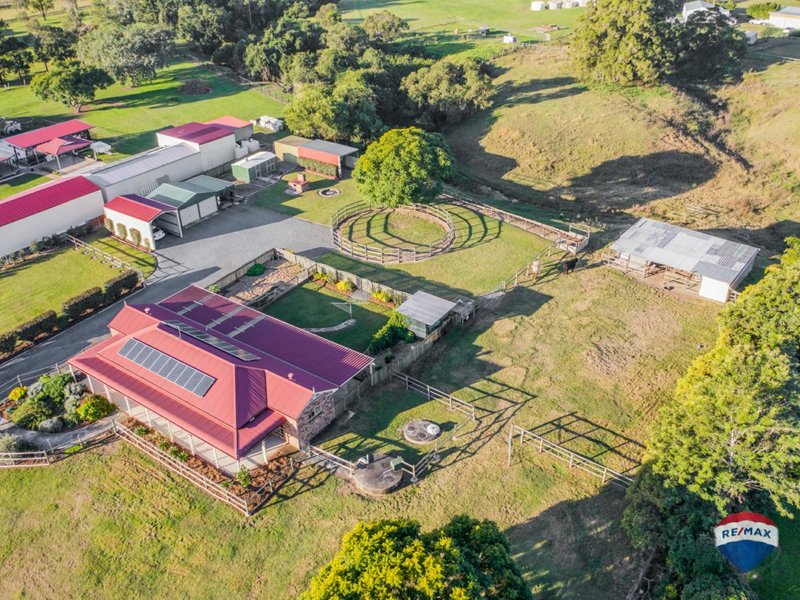 Photo - 354 Veresdale Scrub Rd , Veresdale Scrub QLD 4285 - Image 20