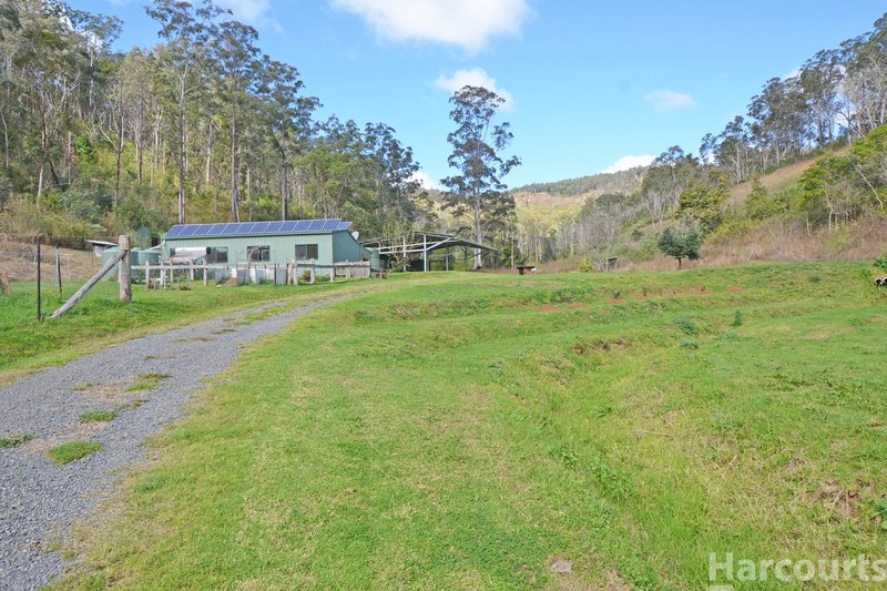 Photo - 355 Costigans Road, Yarras NSW 2446 - Image 2