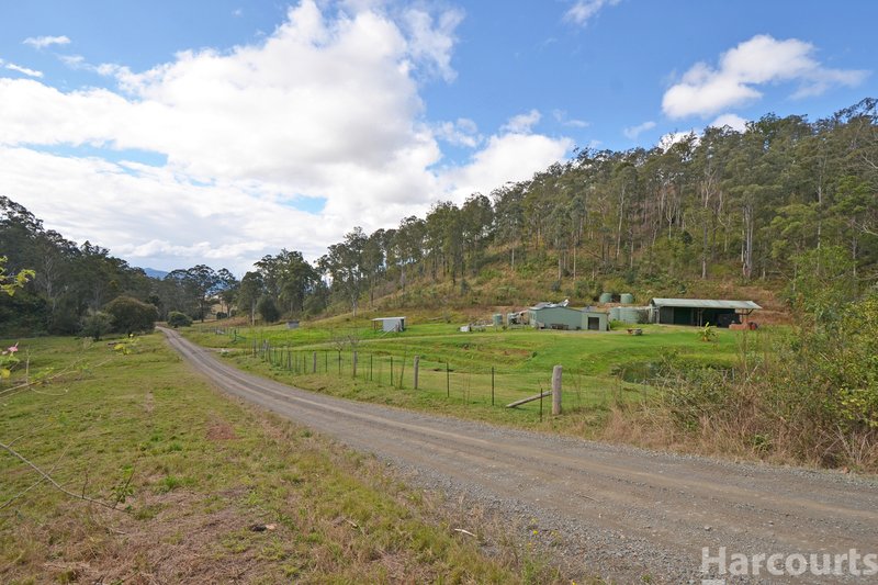 Photo - 355 Costigans Road, Yarras NSW 2446 - Image 5