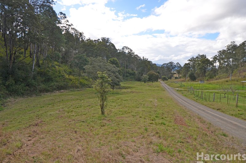 Photo - 355 Costigans Road, Yarras NSW 2446 - Image 6