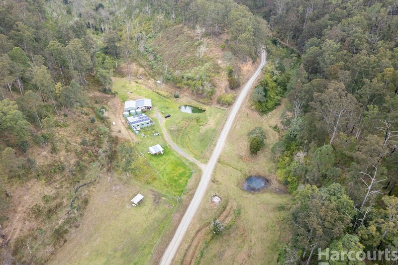 Photo - 355 Costigans Road, Yarras NSW 2446 - Image 9