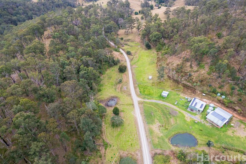 Photo - 355 Costigans Road, Yarras NSW 2446 - Image 14