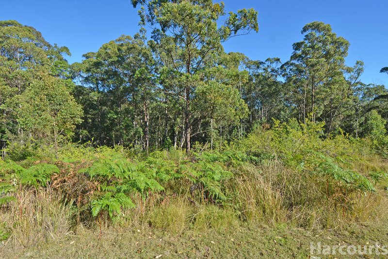 Photo - 355 Cowal Creek Road, Bellangry NSW 2446 - Image 11