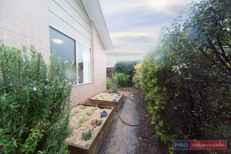 Photo - 3/56 Christina Stead Street, Franklin ACT 2913 - Image 15