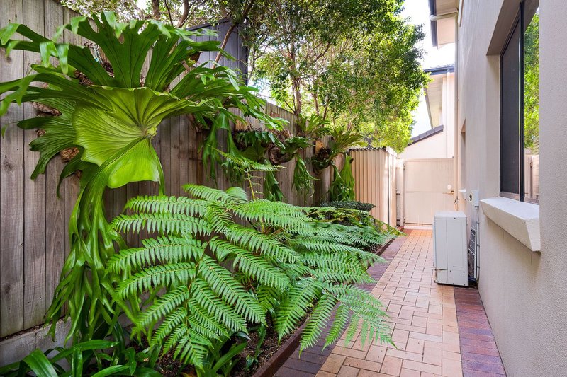 Photo - 3/56 Eversley Terrace, Yeronga QLD 4104 - Image 11