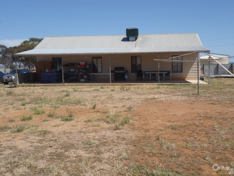 Photo - 356 Nelshaby Road, Napperby SA 5540 - Image 14