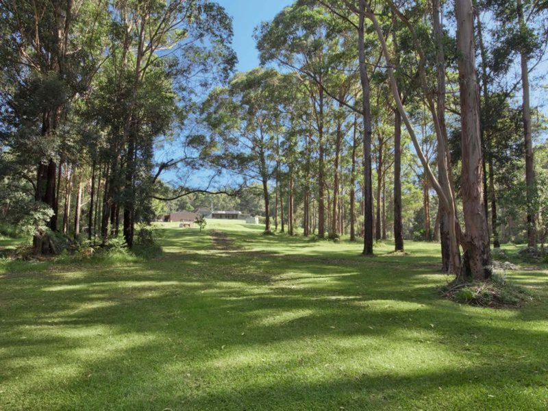 Photo - 356 Wheelbarrow Road, Milton NSW 2538 - Image 14