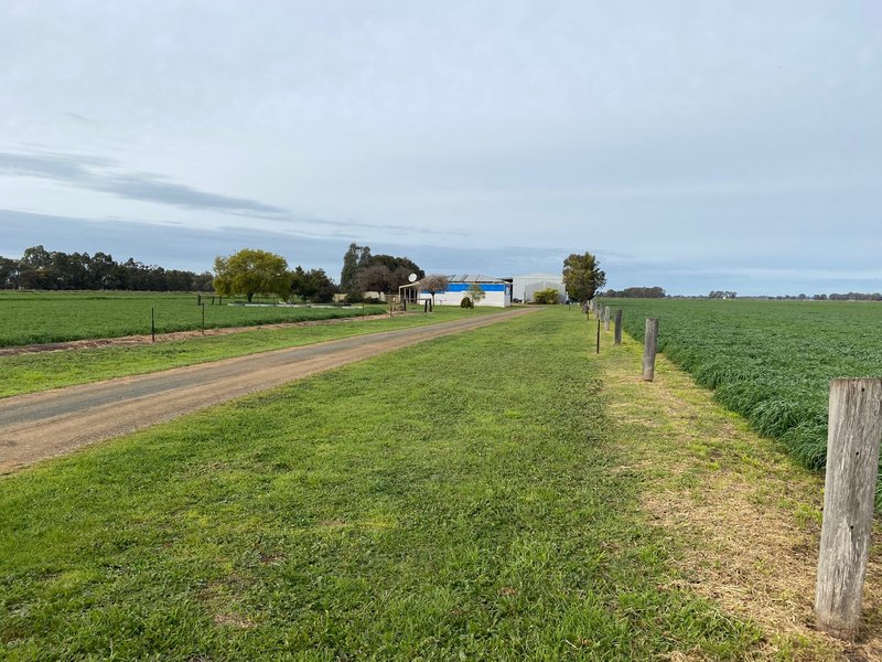 Photo - 3561 Graham Road, Fairy Dell VIC 3561 - Image 3