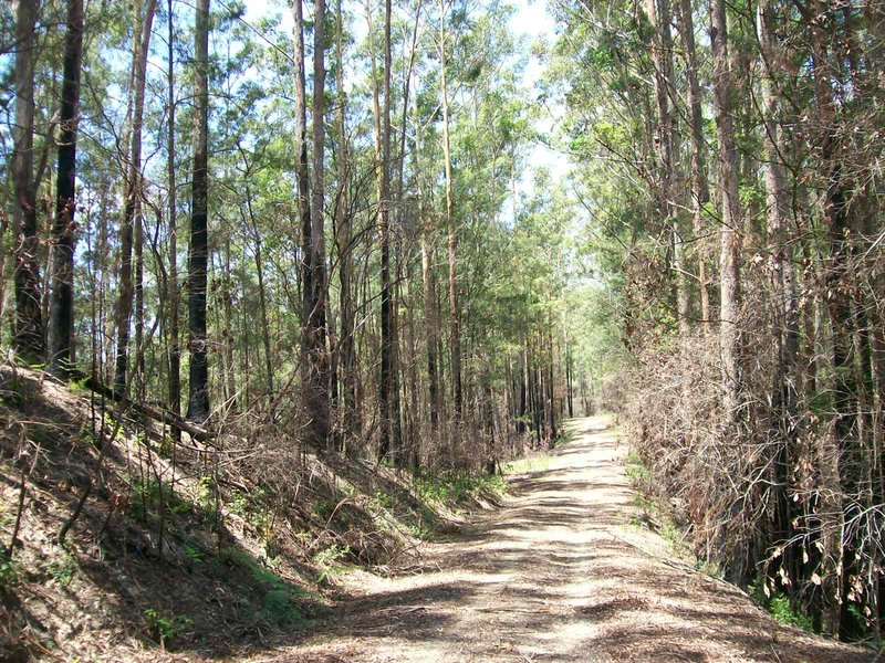 Photo - 3566 Kalang Road Kalang , Bellingen NSW 2454 - Image 10