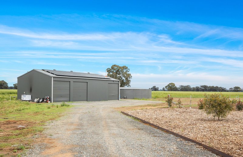 Photo - 3567 Wangaratta-Yarrawonga Road, Esmond VIC 3730 - Image 18