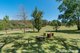 Photo - 356A Little Forest Road Via Milton , Yatte Yattah NSW 2539 - Image 2