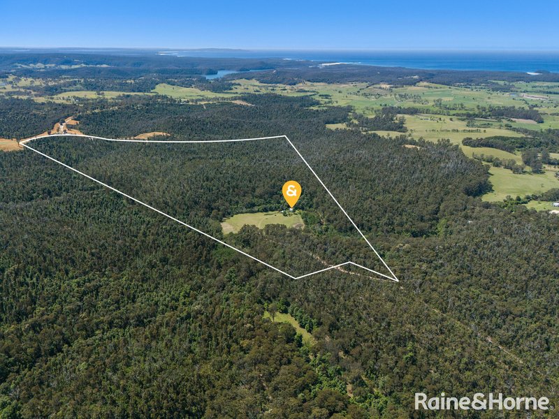 Photo - 356A Little Forest Road Via Milton , Yatte Yattah NSW 2539 - Image 18