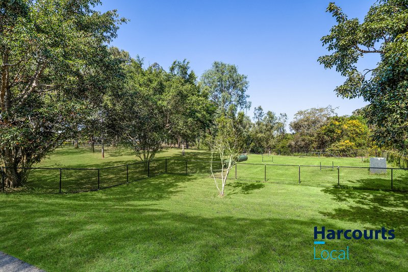 Photo - 3/57 Allworth Street, Northgate QLD 4013 - Image 15