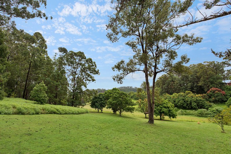 Photo - 357 Diddillibah Road, Diddillibah QLD 4559 - Image 2