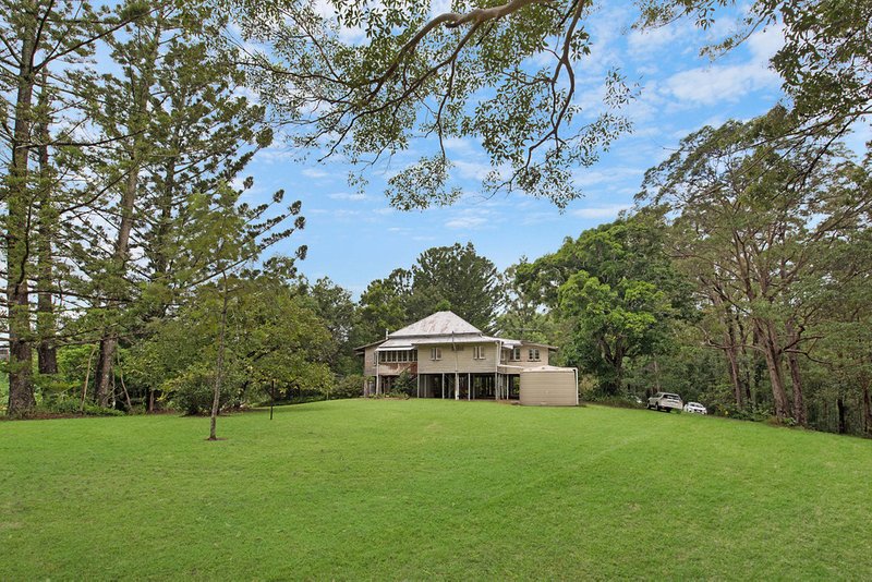 Photo - 357 Diddillibah Road, Diddillibah QLD 4559 - Image 3