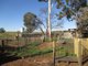 Photo - 357 Kulkami Road, Karoonda SA 5307 - Image 18