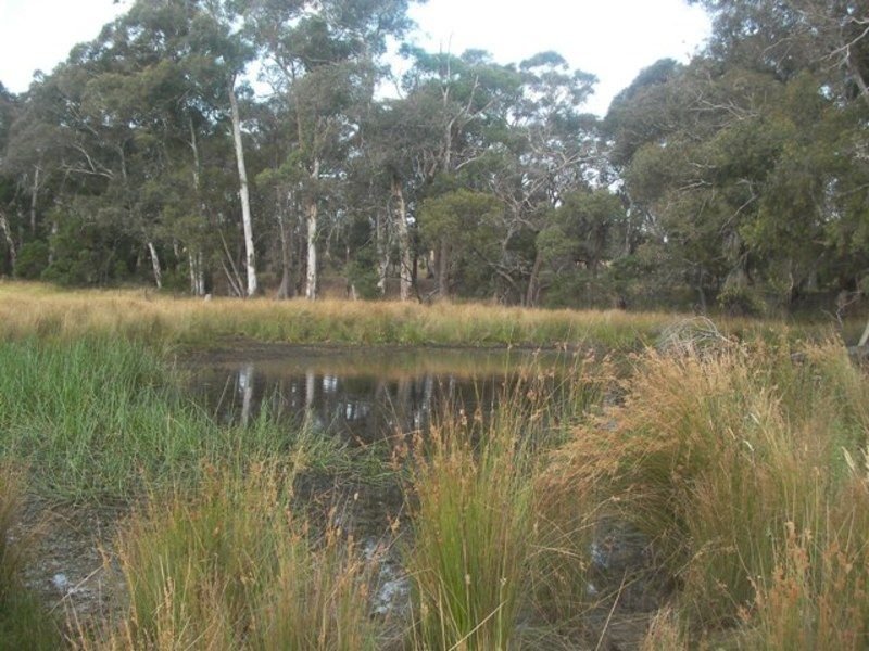 Photo - 357 Lancefield Tooborac Road, Lancefield VIC 3435 - Image 5