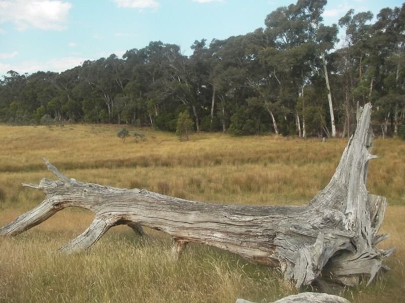 Photo - 357 Lancefield Tooborac Road, Lancefield VIC 3435 - Image 6