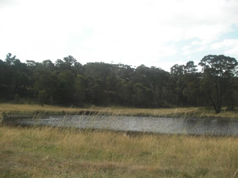 Photo - 357 Lancefield Tooborac Road, Lancefield VIC 3435 - Image 8