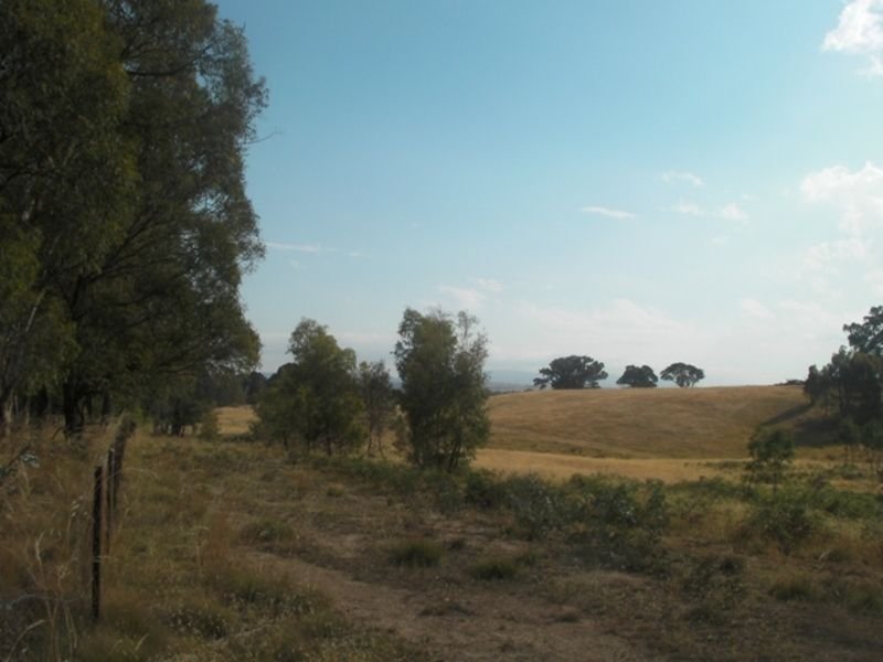 Photo - 357 Lancefield Tooborac Road, Lancefield VIC 3435 - Image 9