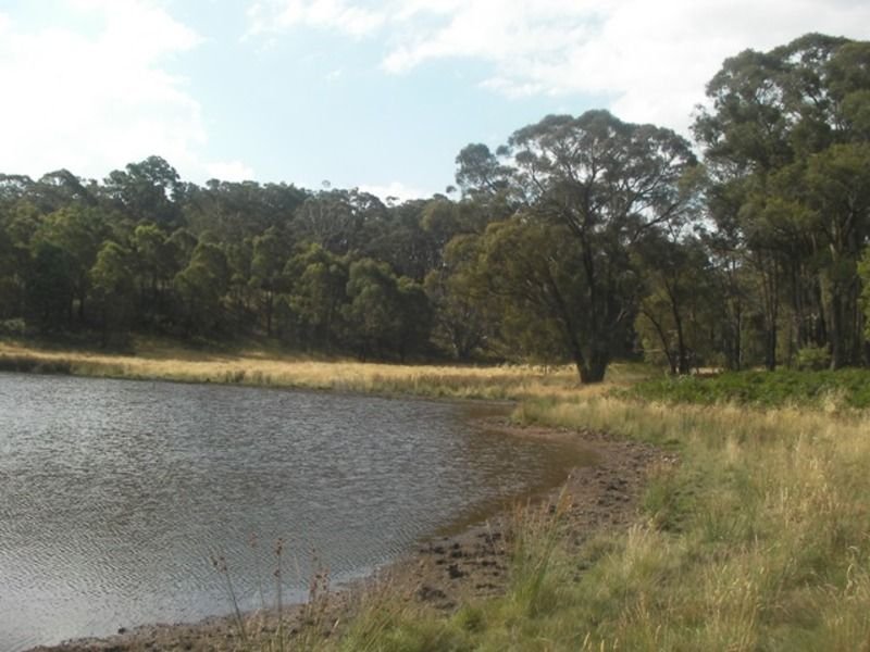 Photo - 357 Lancefield Tooborac Road, Lancefield VIC 3435 - Image 10